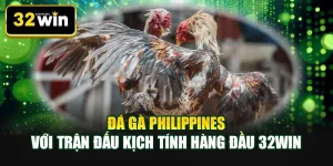 Đá gà Philippines